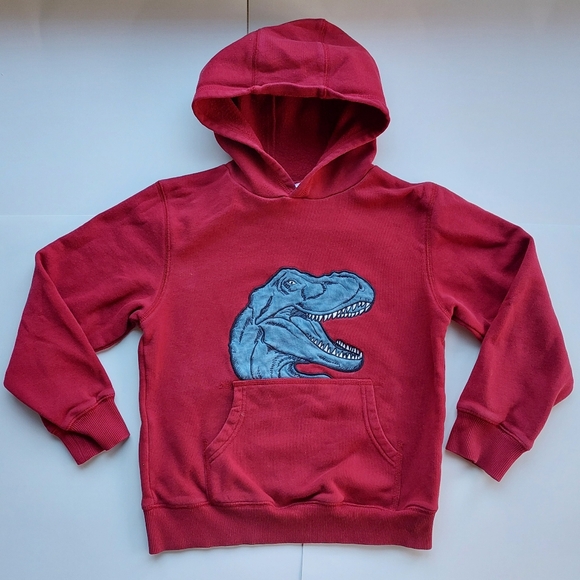Gymboree dinosaur hoodie 7-8 years - Picture 3 of 15